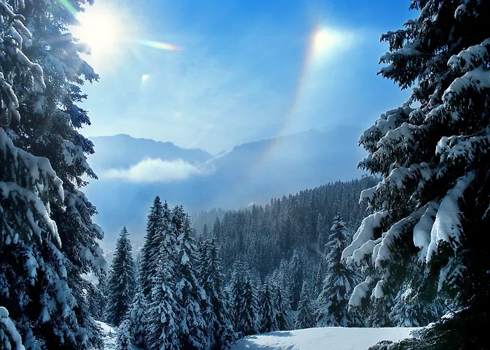 Home Hotel Arosa 3* Ароза