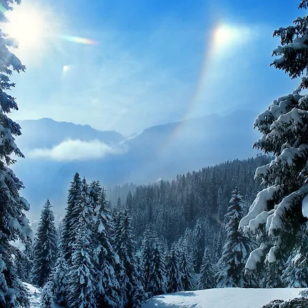 Home Hotel Arosa 3* Arosa